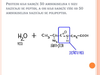 PROTEINI KOJI SADRŽE 50 AMINOKISELINA U NIZU
NAZIVAJU SE PEPTIDI, A ONI KOJI SADRŽE VIŠE OD 50
AMINOKISELINA NAZIVAJU SE POLIPEPTIDI.
 