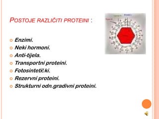 POSTOJE RAZLIČITI PROTEINI :

 Enzimi.
 Neki hormoni.

 Anti-tijela.

 Transportni proteini.

 Fotosintetički.

 Rezervni proteini.

 Strukturni odn.gradivni proteini.
 