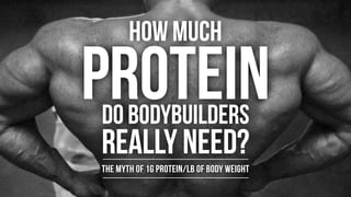 HOW MUCH

PROTEIN
DO BODYBUILDERS
REALLY NEED?
THE MYTH OF 1G PROTEIN/LB OF BODY WEIGHT
 