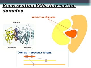 overview of the protein protein interaction | PPTX