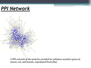 overview of the protein protein interaction | PPTX