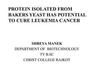 PROTEIN ISOLATED FROM
BAKERS YEAST HAS POTENTIAL
TO CURE LEUKEMIA CANCER
SHREYA MANEK
DEPARTMENT OF BIOTECHNOLOGY
TY B.SC
CHRIST COLLEGE RAJKOT
 