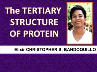 Elixir CHRISTOPHER S. BANDOQUILLO
 