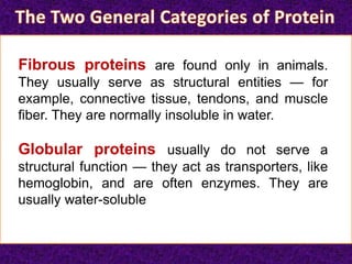 Fibrous proteins are found only in animals.
They usually serve as structural entities — for
example, connective tissue, tendons, and muscle
fiber. They are normally insoluble in water.
Globular proteins usually do not serve a
structural function — they act as transporters, like
hemoglobin, and are often enzymes. They are
usually water-soluble
 