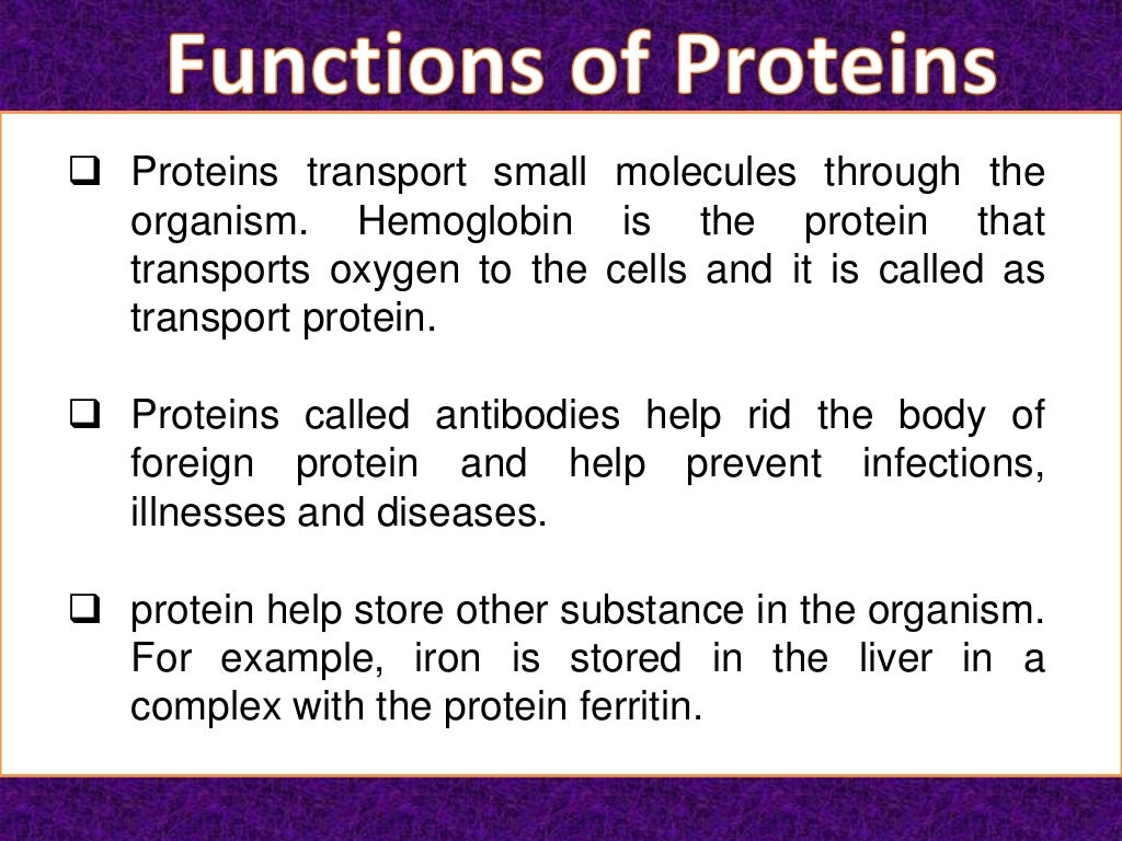 Protein; its functions