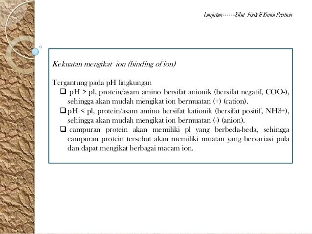 Protein Kimia Hasil Pertanian