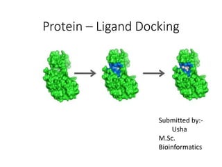Protein – Ligand Docking
Submitted by:-
Usha
M.Sc.
Bioinformatics
 