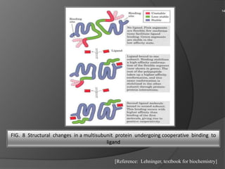 Protein ligand interaction. | PPTX