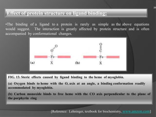 •The binding of a ligand to a protein is rarely as simple as the above equations
would suggest. The interaction is greatly affected by protein structure and is often
accompanied by conformational changes.
Effect of protein structure on ligand binding:
FIG. 13. Steric effects caused by ligand binding to the heme of myoglobin.
(a) Oxygen binds to heme with the O, axis at an angle, a binding conformation readily
accommodated by myoglobin.
(b) Carbon monoxide binds to free heme with the CO axis perpendicular to the plane of
the porphyrin ring
26
[Reference: Lehninger, textbook for biochemistry, www.amzon.com]
 