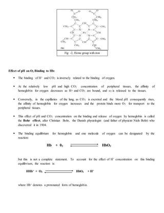 Effect of pH on O2 Binding to Hb:
 The binding of H+ and CO2 is inversely related to the binding of oxygen.
 At the relatively low pH and high CO2 concentration of peripheral tissues, the affinity of
hemoglobin for oxygen decreases as H+ and CO2 are bound, and o2 is released to the tissues.
 Conversely, in the capillaries of the lung, as CO2 is excreted and the blood pH consequently rises,
the affinity of hemoglobin for oxygen increases and the protein binds more O2 for transport to the
peripheral tissues.
 This effect of pH and CO2 concentration on the binding and release of oxygen by hemoglobin is called
the Bohr effect, after Christian Bohr, the Danish physiologist (and father of physicist Niels Bohr) who
discovered it in 1904.
 The binding equilibrium for hemoglobin and one molecule of oxygen can be designated by the
reaction:
Hb + 02 HbO2
but this is not a complete statement. To account for the effect of H+ concentration on this binding
equilibrium, the reaction is:
HHb+ + O2 HbO2 + H+
where Hb+ denotes a protonated form of hemoglobin.
Fig: -2, Heme group with iron
 