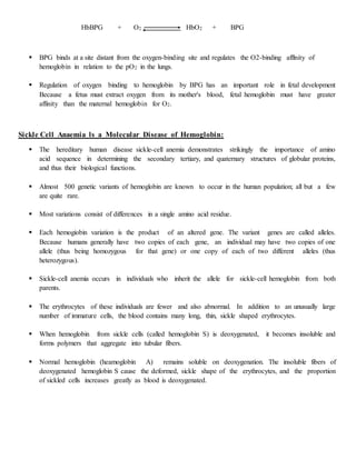 HbBPG + O2 HbO2 + BPG
 BPG binds at a site distant from the oxygen-binding site and regulates the O2-binding afflnity of
hemoglobin in relation to the pO2 in the lungs.
 Regulation of oxygen binding to hemoglobin by BPG has an important role in fetal development
Because a fetus must extract oxygen from its mother's blood, fetal hemoglobin must have greater
affinity than the maternal hemoglobin for O2.
Sickle Cell Anaemia ls a Molecular Disease of Hemoglobin:
 The hereditary human disease sickle-cell anemia demonstrates strikingly the importance of amino
acid sequence in determining the secondary tertiary, and quaternary structures of globular proteins,
and thus their biological functions.
 Almost 500 genetic variants of hemoglobin are known to occur in the human population; all but a few
are quite rare.
 Most variations consist of differences in a single amino acid residue.
 Each hemogiobin variation is the product of an altered gene. The variant genes are called alleles.
Because humans generally have two copies of each gene, an individual may have two copies of one
allele (thus being homozygous for that gene) or one copy of each of two different alleles (thus
heterozygous).
 Sickle-cell anemia occurs in individuals who inherit the allele for sickle-cell hemoglobin from both
parents.
 The erythrocytes of these individuals are fewer and also abnormal. In addition to an unusually large
number of immature cells, the blood contains many long, thin, sickle shaped erythrocytes.
 When hemoglobin from sickle cells (called hemoglobin S) is deoxygenated, it becomes insoluble and
forms polymers that aggregate into tubular fibers.
 Normal hemoglobin (heamoglobin A) remains soluble on deoxygenation. The insoluble fibers of
deoxygenated hemoglobin S cause the deformed, sickle shape of the erythrocytes, and the proportion
of sickled cells increases greatly as blood is deoxygenated.
 