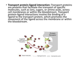protein ligand interaction | PDF