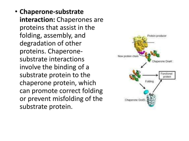 protein ligand interaction | PDF | Chemistry | Science