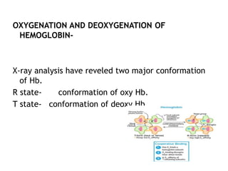 protein ligand interaction | PDF