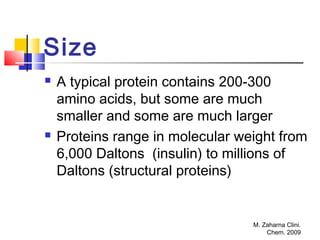 M. Zaharna Clini.
Chem. 2009
Size
 A typical protein contains 200-300
amino acids, but some are much
smaller and some are much larger
 Proteins range in molecular weight from
6,000 Daltons (insulin) to millions of
Daltons (structural proteins)
 
