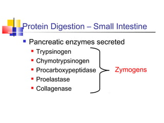 Protein Digestion – Small Intestine
 Pancreatic enzymes secreted
 Trypsinogen
 Chymotrypsinogen
 Procarboxypeptidase
 Proelastase
 Collagenase
Zymogens
 