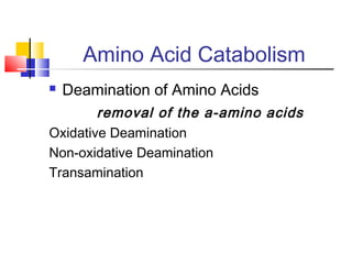 Amino Acid Catabolism
 Deamination of Amino Acids
removal of the a-amino acids
Oxidative Deamination
Non-oxidative Deamination
Transamination
 