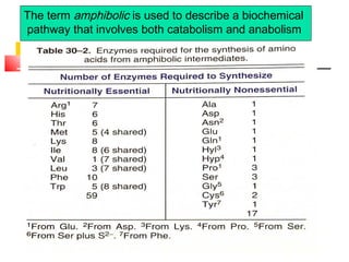 The term amphibolic is used to describe a biochemical
pathway that involves both catabolism and anabolism
 