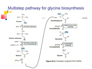 Multistep pathway for glycine biosynthesis
 