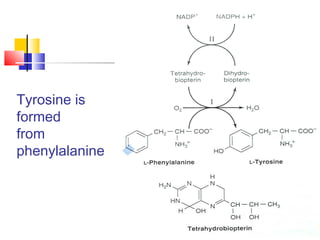 Tyrosine is
formed
from
phenylalanine
 