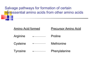 Salvage pathways for formation of certain
nonessential amino acids from other amino acids
Amino Acid formed Precursor Amino Acid
Arginine Proline
Cysteine Methionine
Tyrosine Phenylalanine
 