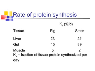 Rate of protein synthesis
Ks (%/d)
Tissue Pig Steer
Liver
Gut
Muscle
23
45
5
21
39
2
Ks = fraction of tissue protein synthesized per
day
 