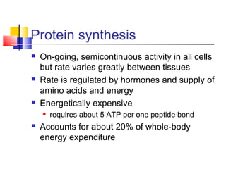 Protein synthesis
 On-going, semicontinuous activity in all cells
but rate varies greatly between tissues
 Rate is regulated by hormones and supply of
amino acids and energy
 Energetically expensive
 requires about 5 ATP per one peptide bond
 Accounts for about 20% of whole-body
energy expenditure
 