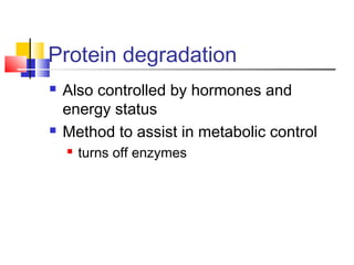 Protein degradation
 Also controlled by hormones and
energy status
 Method to assist in metabolic control
 turns off enzymes
 