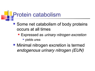 Protein catabolism
 Some net catabolism of body proteins
occurs at all times
 Expressed as urinary nitrogen excretion

yields urea
 Minimal nitrogen excretion is termed
endogenous urinary nitrogen (EUN)
 