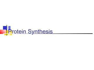 Protein Synthesis
 