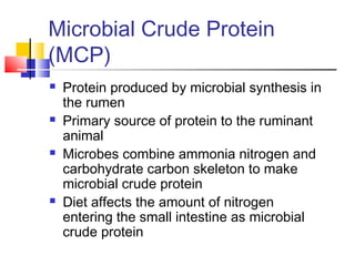 Microbial Crude Protein
(MCP)
 Protein produced by microbial synthesis in
the rumen
 Primary source of protein to the ruminant
animal
 Microbes combine ammonia nitrogen and
carbohydrate carbon skeleton to make
microbial crude protein
 Diet affects the amount of nitrogen
entering the small intestine as microbial
crude protein
 