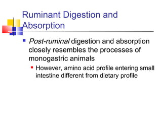 Ruminant Digestion and
Absorption
 Post-ruminal digestion and absorption
closely resembles the processes of
monogastric animals
 However, amino acid profile entering small
intestine different from dietary profile
 