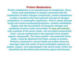 Protein Metabolism: 
Protein metabolism is an essential part of metabolism. Since 
amino-acid metabolism is closely connected with the 
metabolism of other nitrogen compounds, protein metabolism 
is often included in the more general concept of nitrogen 
metabolism. In autotrophic organisms—that is, plants (except 
fungi) and chemo-synthesizing bacteria—protein metabolism 
begins with the assimilation of inorganic nitrogen and 
synthesis of amino acids and amides. In man and animals, 
only a portion of the amino acids—the so-called nonessential 
ones—can be synthesized in the organism from simpler 
organic compounds. The other portion—the essential amino 
acids—must be obtained from food, usually as protein. 
Proteins contained in various foods are broken down by 
cleavage under the action of such proteolytic enzymes as 
pepsin, trypsin, and chymotrypsin into amino acids, which are 
absorbed into the blood and carried to organs and tissues. 
 