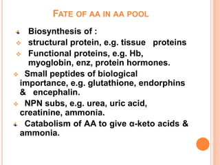 FATE OF AA IN AA POOL
Biosynthesis of :
 structural protein, e.g. tissue proteins
 Functional proteins, e.g. Hb,
myoglobin, enz, protein hormones.
 Small peptides of biological
importance, e.g. glutathione, endorphins
& encephalin.
 NPN subs, e.g. urea, uric acid,
creatinine, ammonia.
Catabolism of AA to give α-keto acids &
ammonia.
 