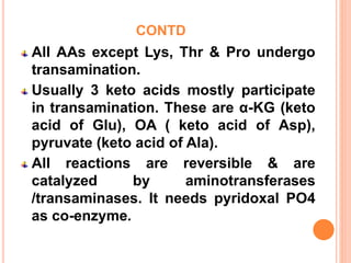CONTD
All AAs except Lys, Thr & Pro undergo
transamination.
Usually 3 keto acids mostly participate
in transamination. These are α-KG (keto
acid of Glu), OA ( keto acid of Asp),
pyruvate (keto acid of Ala).
All reactions are reversible & are
catalyzed by aminotransferases
/transaminases. It needs pyridoxal PO4
as co-enzyme.
 