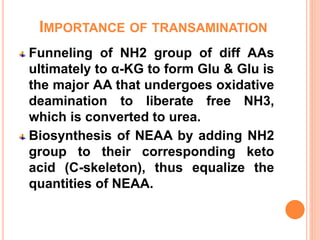 IMPORTANCE OF TRANSAMINATION
Funneling of NH2 group of diff AAs
ultimately to α-KG to form Glu & Glu is
the major AA that undergoes oxidative
deamination to liberate free NH3,
which is converted to urea.
Biosynthesis of NEAA by adding NH2
group to their corresponding keto
acid (C-skeleton), thus equalize the
quantities of NEAA.
 