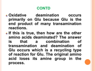 CONTD
Oxidative deamination occurs
primarily on Glu because Glu is the
end product of many transamination
reactions.
If this is true, then how are the other
amino acids deaminated? The answer
is that a combination of
transamination and deamination of
Glu occurs which is a recycling type
of reaction for Glu. The original amino
acid loses its amine group in the
process.
 