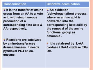 DIFF B/W TRANS DEAMINATION
Transamination Oxidative deamination
It is the transfer of amino
group from an AA to a keto
acid with simultaneous
production of a
corresponding keto acid &
AA respectively.
Reactions are catalyzed
by aminotransferases
/transaminases. It needs
pyridoxal PO4 as co-
enzyme.
An oxidation
(dehydrogenation) process,
where an amino acid is
converted into the
corresponding keto acid by
the removal of the amine
functional group as
ammonia .
It is catalyzed by L-AA
oxidase / D-AA oxidase /Glu
DH.
 