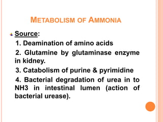METABOLISM OF AMMONIA
Source:
1. Deamination of amino acids
2. Glutamine by glutaminase enzyme
in kidney.
3. Catabolism of purine & pyrimidine
4. Bacterial degradation of urea in to
NH3 in intestinal lumen (action of
bacterial urease).
 