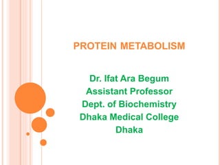 PROTEIN METABOLISM
Dr. Ifat Ara Begum
Assistant Professor
Dept. of Biochemistry
Dhaka Medical College
Dhaka
 