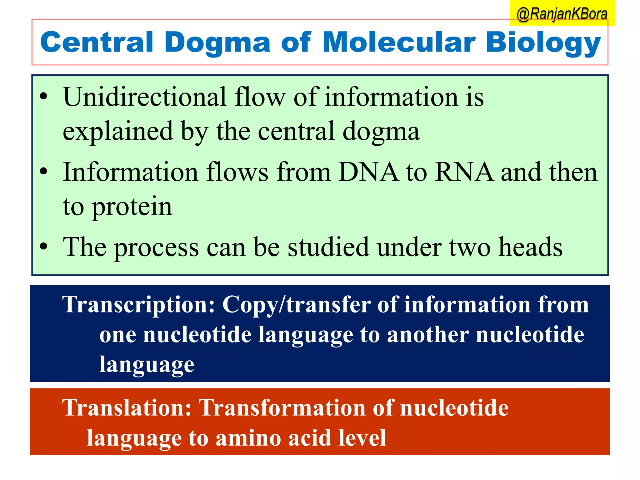 Protein Flow Protein metabolism | PPTX