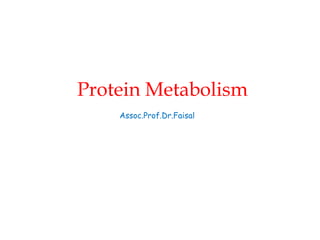 Protein Metabolism
Assoc.Prof.Dr.Faisal
 