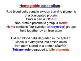 Hemoglobin catabolism
Red blood cells contain oxygen carrying pigments
of a conjugated protein:
Protein part is Globin
Non-protein prosthetic group is Heme
Heme contains four pyrrole (tetrapyrrole) groups
held together by an iron atom
Old red blood cells degraded in the spleen.
Globin is hydrolyzed into amino acids.
Iron atom stored in a protein (ferritin)
Tetrapyrrole degraded to bile pigments
 