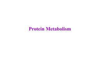 Protein Metabolism
 