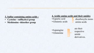 3. Sulfur containing amino acids :
• Cysteine - sulfhydryl group
• Methionine -thioether group
4. Acidic amino acids and their amides
•Aspartic acid
• Glutamic acids
•Asparagine
• Glutamine
dicarboxylic mono
amino acids
are their
respective
amide
derivatives.
 