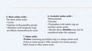 5. Basic amino acids :
The three amino acids:
• Lysine
•Arginine (with guanidino group)
• Histidine (with imidazole ring)
are dibasic monocarboxylic acids.
6. Aromatic amino acids :
•Phenylalanine
•Tyrosine
•Tryptophan (with indole ring are
aromatic amino acids)
• Besides these, Histidine may also be
considered under this category.
7. lmino acids:
•Proline containing pyrrolidine ring is a unique amino acid.
•lt has an imino group (=NH), instead of an amino group (-
NH2) found in other amino acids.
 