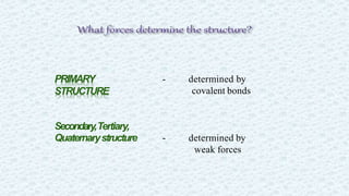 PRIMARY
STRUCTURE
- determined by
covalent bonds
Secondary,Tertiary,
Quaternarystructure - determined by
weak forces
 