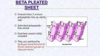 o Formed when 2 ormore
polypeptides line up sideby
side.
o Individual polypeptide –
beta strand.
o Each beta strand is fully
extended.
o They are stabilized by
hydrogen bond between N-
H and carbonyl groups of
adjacent chains.
 