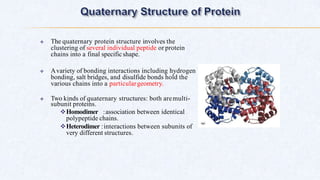  The quaternary protein structure involves the
clustering of several individual peptide or protein
chains into a final specificshape.
 Avariety of bonding interactions including hydrogen
bonding, salt bridges, and disulfide bonds hold the
various chains into a particulargeometry.
 Two kinds of quaternary structures: both aremulti-
subunit proteins.
Homodimer :association between identical
polypeptide chains.
Heterodimer :interactions between subunits of
very different structures.
 