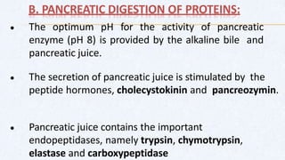 B. PANCREATIC DIGESTION OF PROTEINS:
• The optimum pH for the activity of pancreatic
enzyme (pH 8) is provided by the alkaline bile and
pancreatic juice.
• The secretion of pancreatic juice is stimulated by the
peptide hormones, cholecystokinin and pancreozymin.
• Pancreatic juice contains the important
endopeptidases, namely trypsin, chymotrypsin,
elastase and carboxypeptidase
 